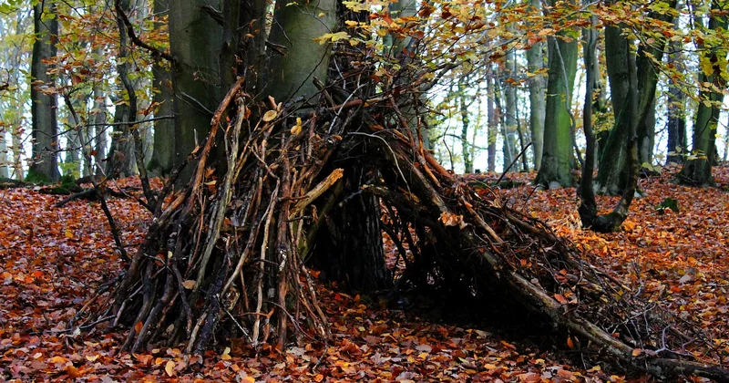 Camping sauvage, bivouac : ce que dit vraiment la règle