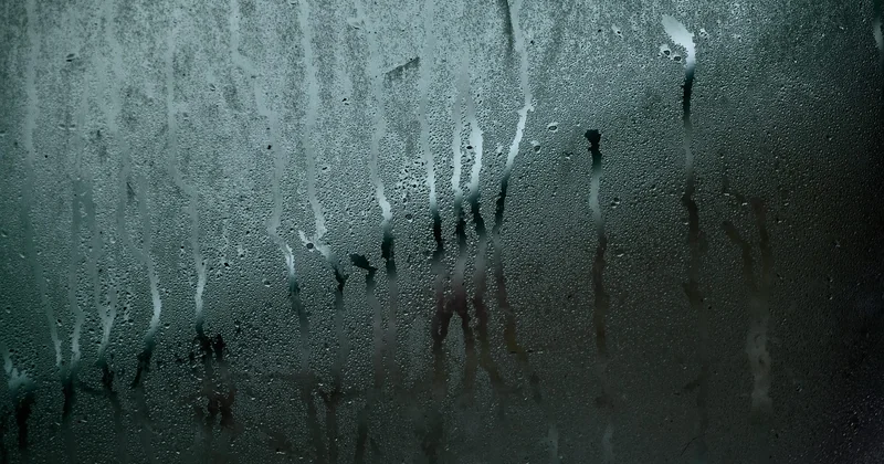L'ennemi invisible : la condensation dans votre abri