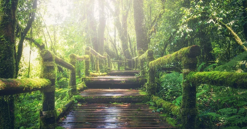Est-ce légal de dormir en forêt, oui ou non ?